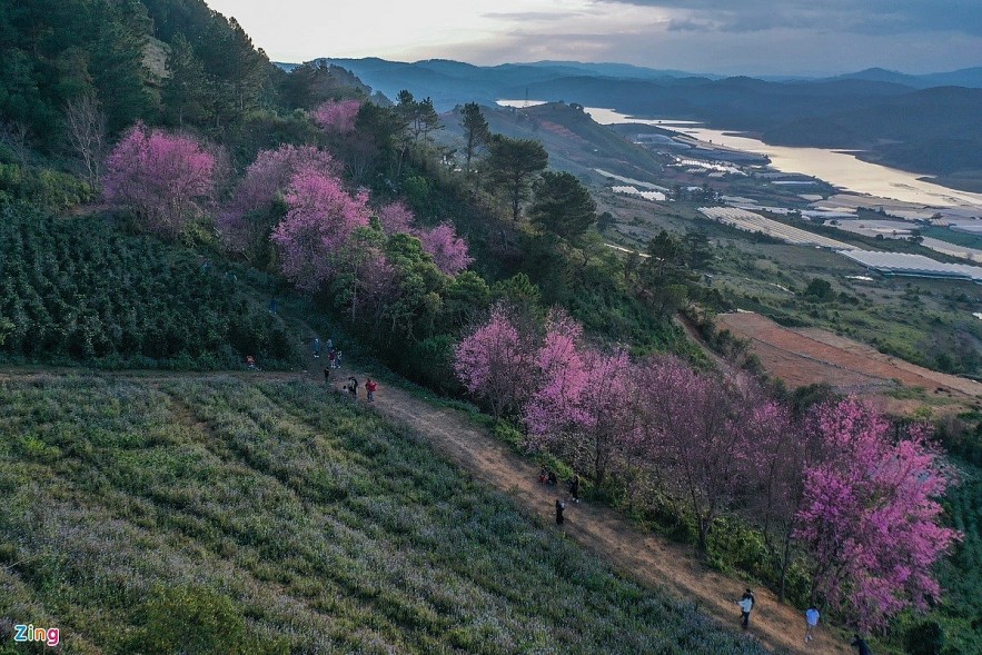 Photo: Duy Hieu.