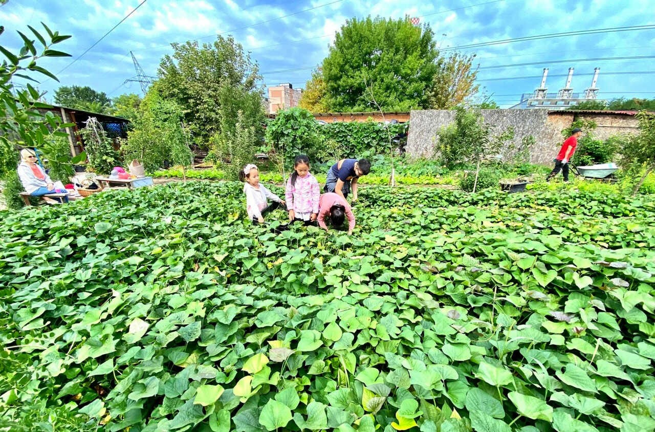 Thao's garden is a favorite place to children to play in. Photo: Nguyen Phuong Thao 
