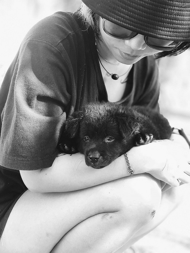 The Girl Who Takes Care of 29 Cats and Dogs