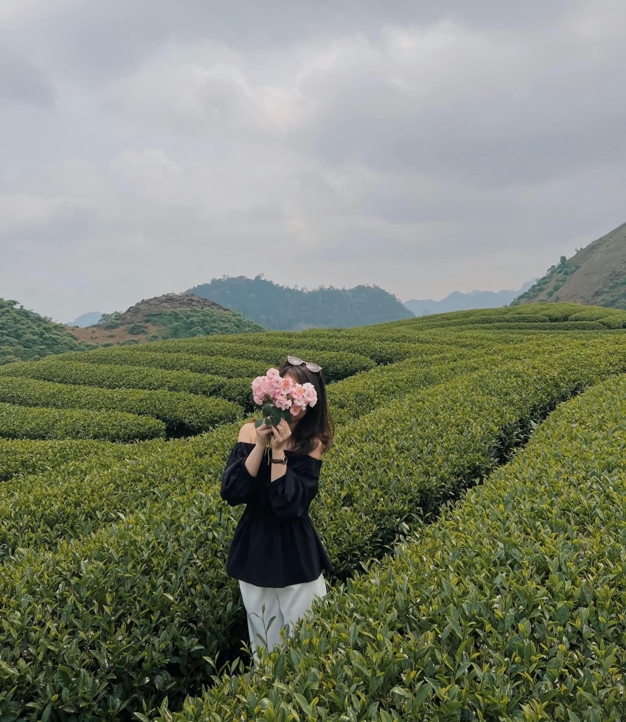 Moc Chau: Nothern Vietnam's Premiere October Destination