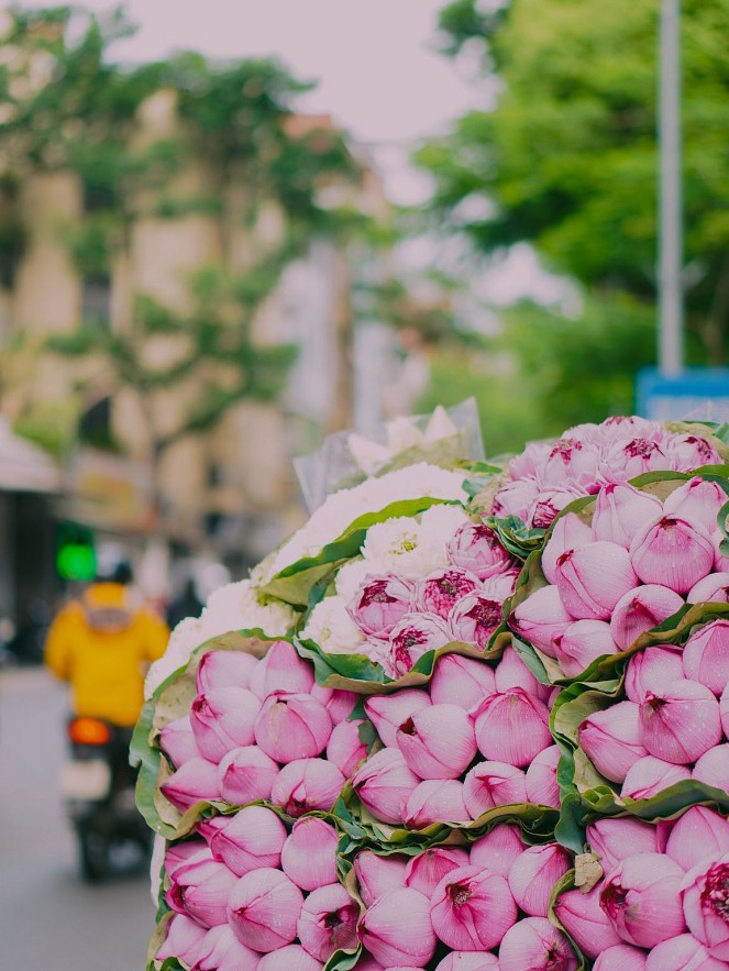 First Sign of Autumn on the Streets of Hanoi First Sign of Autumn on the Streets of Hanoi
