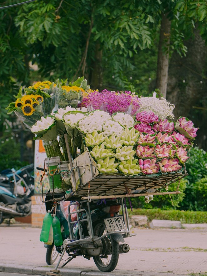 First Sign of Autumn on the Streets of Hanoi First Sign of Autumn on the Streets of Hanoi