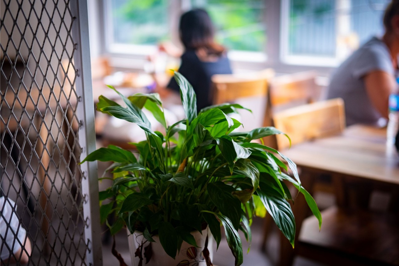 La Bonté, a cafe brimming with artisinal treasures