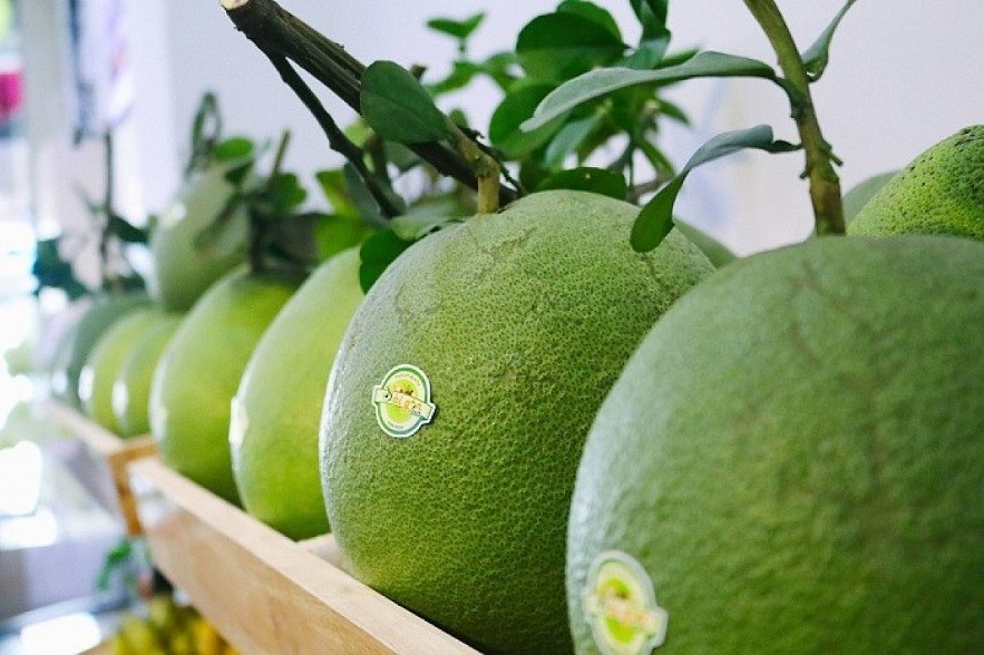 USDA allows the import of fresh pomelo from Vietnam after more than five years of negotiations. (Photo: moit.gov.vn)