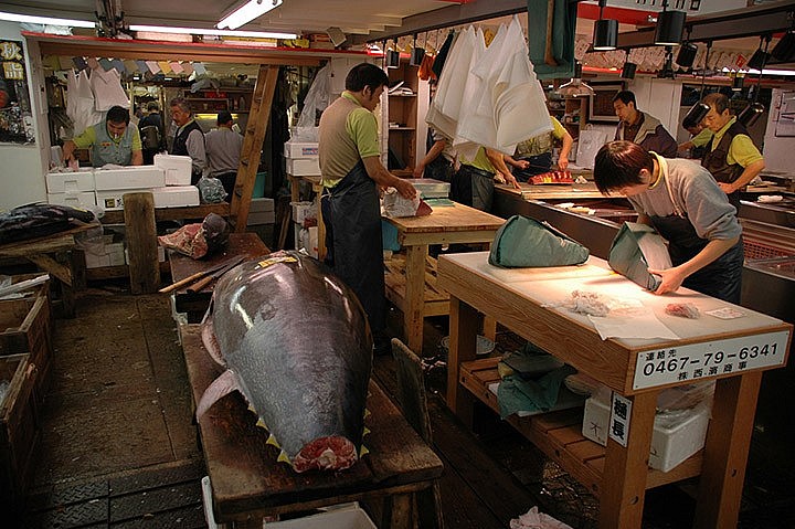 The Eradication of Five World-Famous Destinations