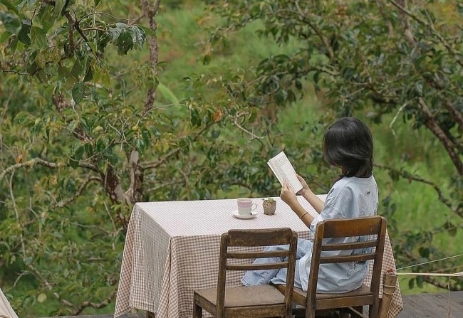 A Travel Guide For Your Winter Trip To Dalat