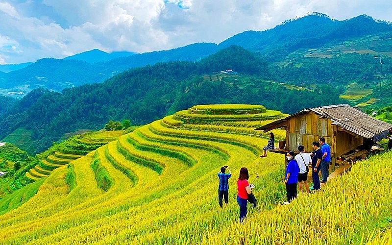 The Beauty of Mu Cang Chai from Above