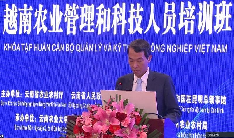 Vietnam News Today (Oct. 28):