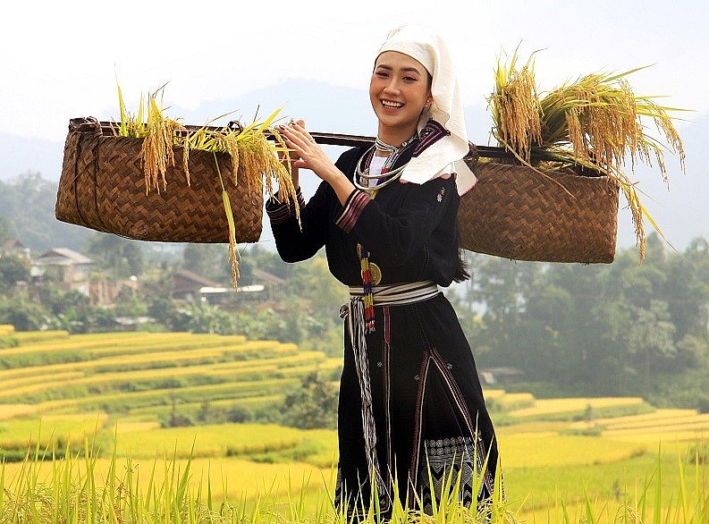 The Beauty of Hong Thai Terraced Fields in the Harvest Season