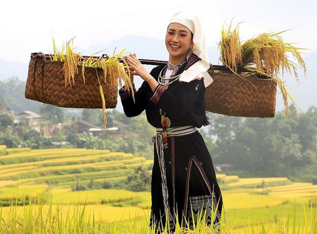The Beauty of Hong Thai Terraced Fields in the Harvest Season