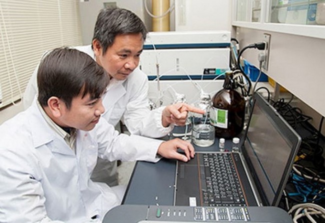 Natural Compounds as Anticancer Agents Found in Rice Husks