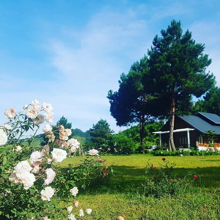 Get Lost in the Poetic and Pristine Hua Tat Pine Forest
