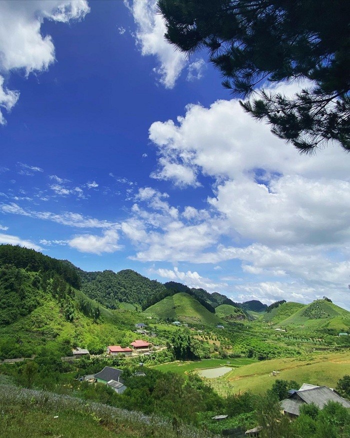 Get Lost in the Poetic and Pristine Hua Tat Pine Forest