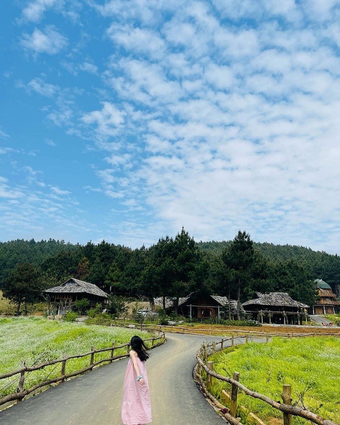 Get Lost in the Poetic and Pristine Hua Tat Pine Forest