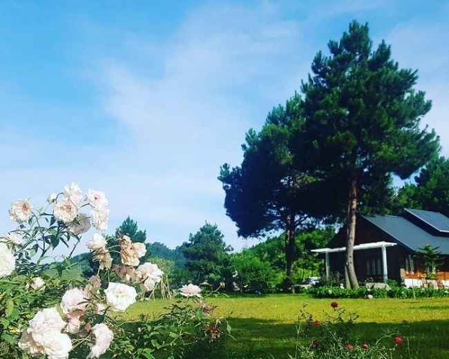 Get Lost in the Poetic and Pristine Hua Tat Pine Forest
