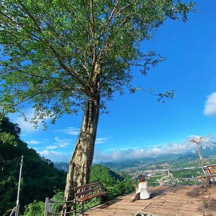 Get Lost in the Poetic and Pristine Hua Tat Pine Forest