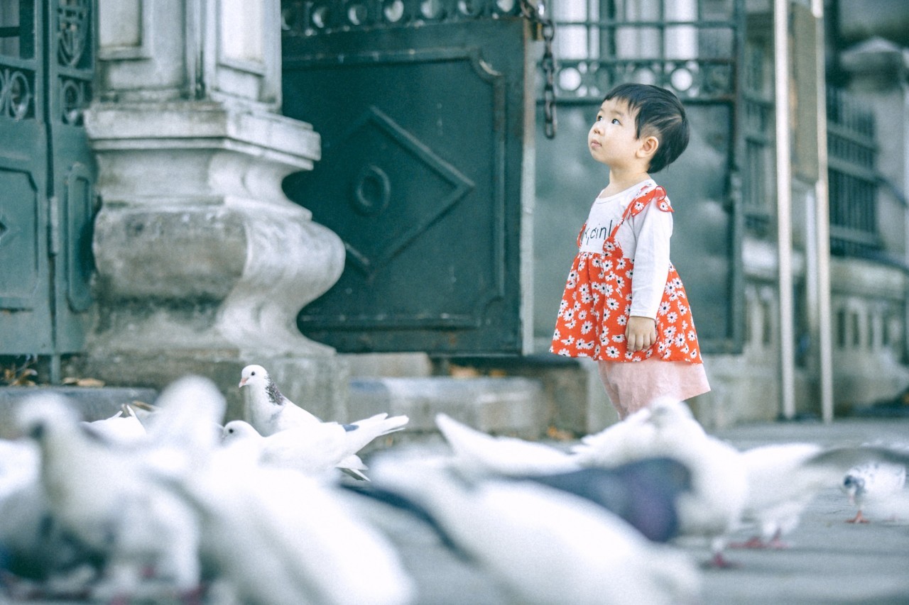 Falling in Love with Moments of Peaceful and Poetic Hanoi Peaceful Moments Throughout Tranquil Hanoi