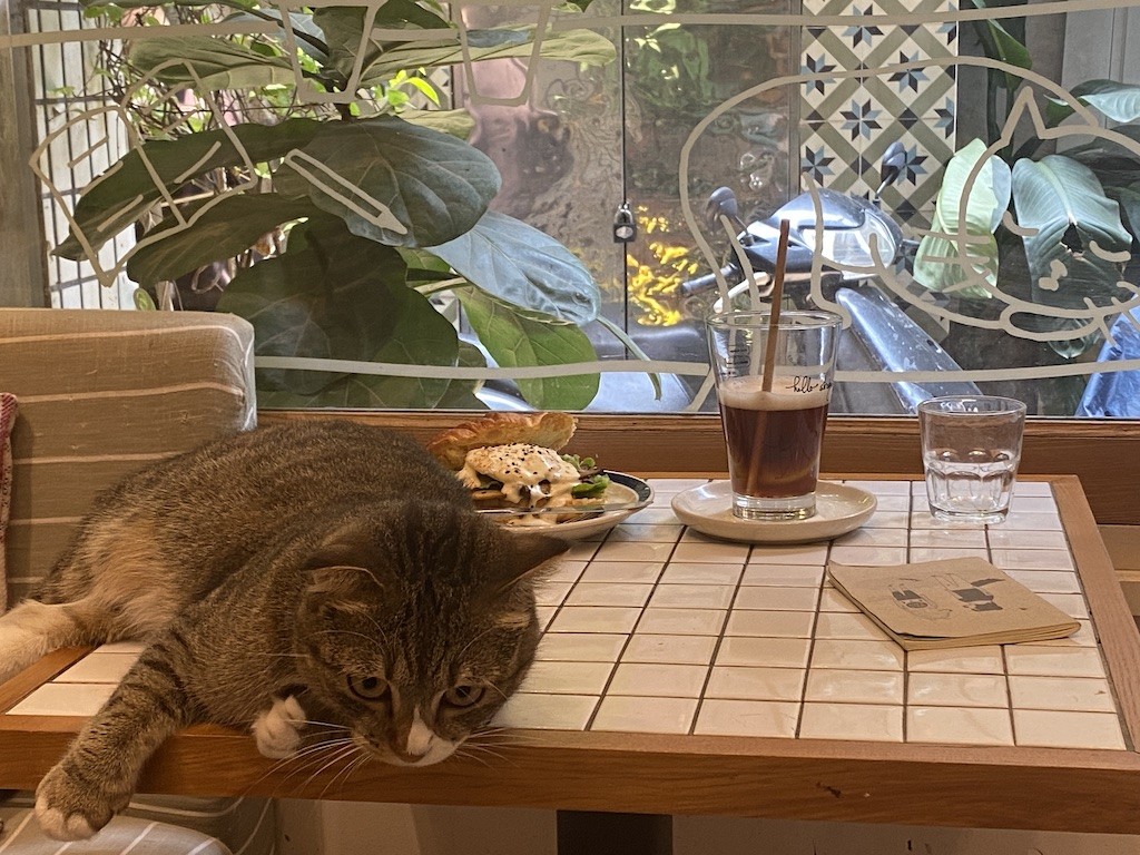 Single Day 11/11: Best Eateries for Singles in Hanoi