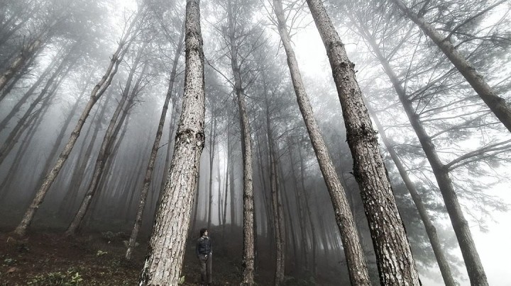 Photo: hmlarchitecture