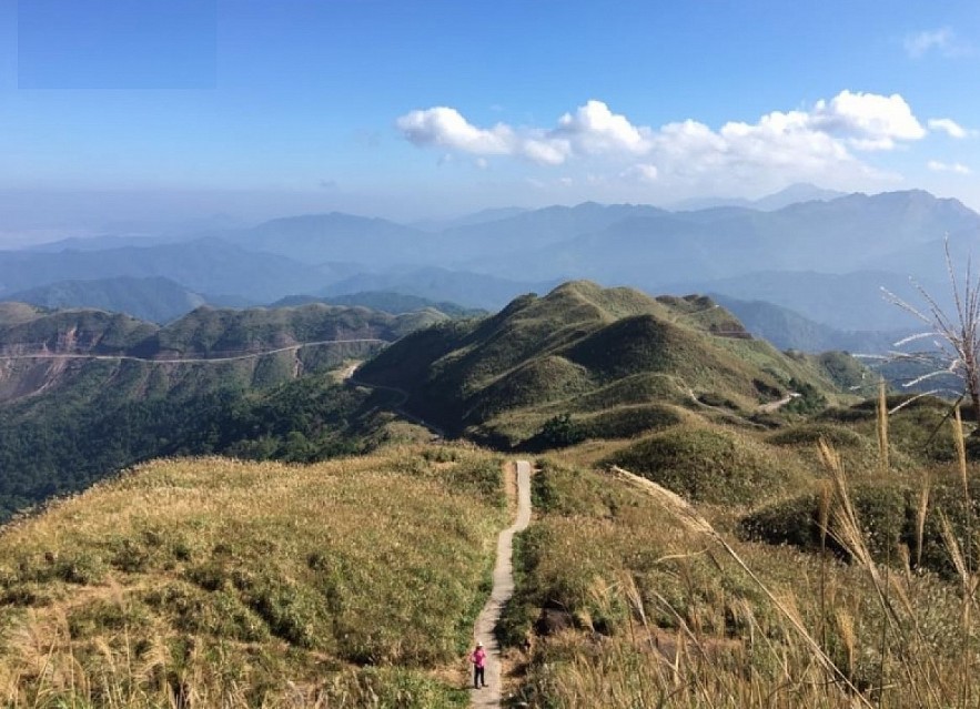 Paragliding over golden rice terrace fields in Northern Vietnam