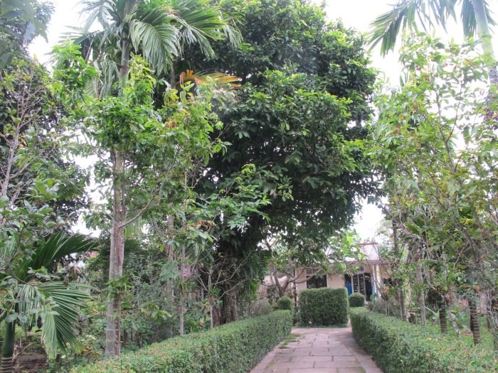 Photo: Visit Hue 