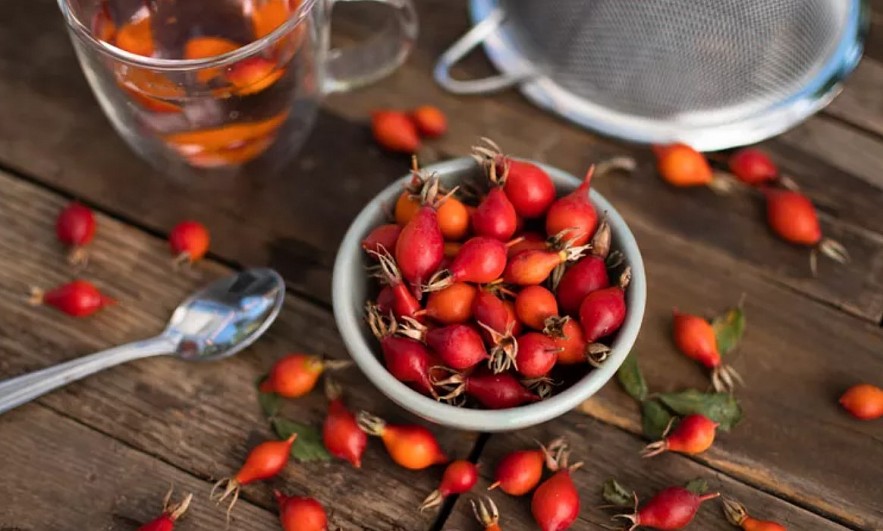 All You Need To Know About Herbal Tea
