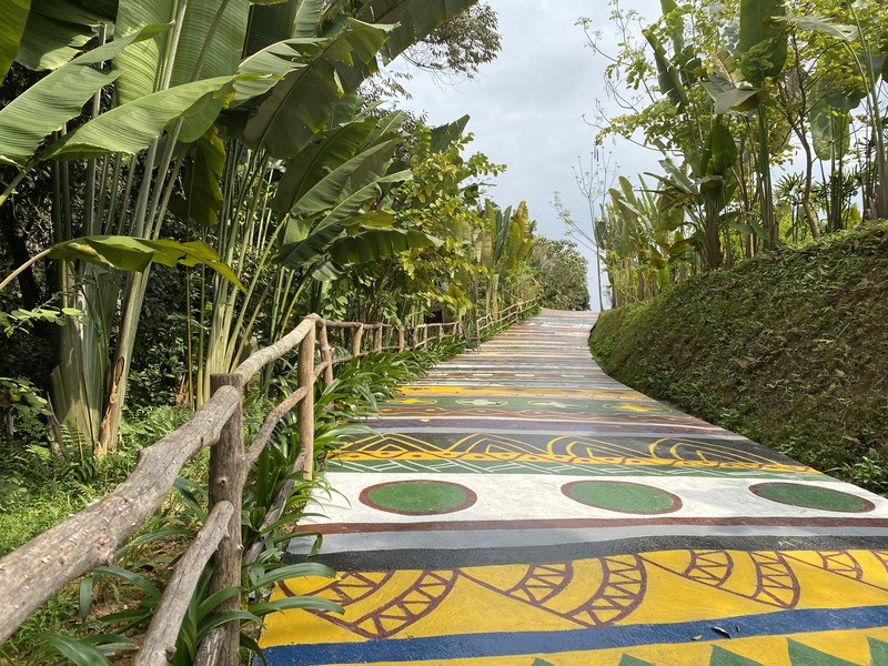 Photo: Papiu.vn 