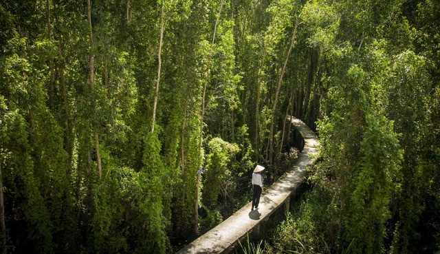 Photo: Toquoc.vn