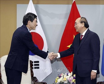 Vietnam's President Meets Friendship, Cooperation Organisations in RoK