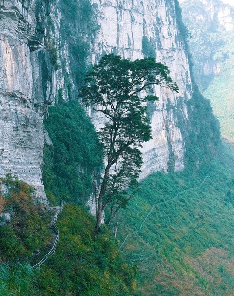 Ha Giang's Hidden Treasures