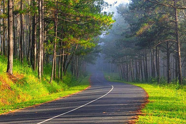 Da Lat, Lan Ha Bay among Asia's 'Underrated' Tourist Destinations: CNN