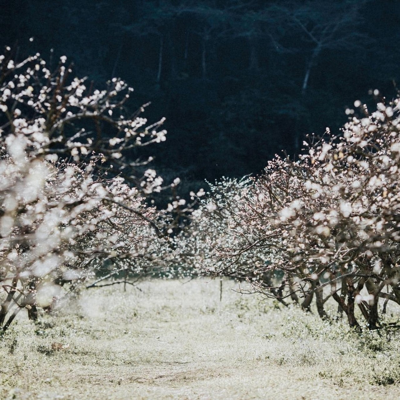 Photo: Gia Han 