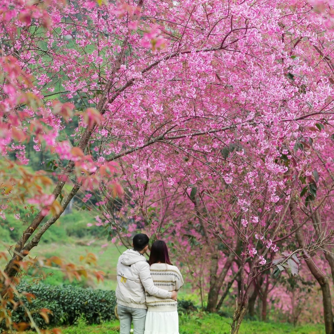 Photo: Hoang Duong, Lam Hang