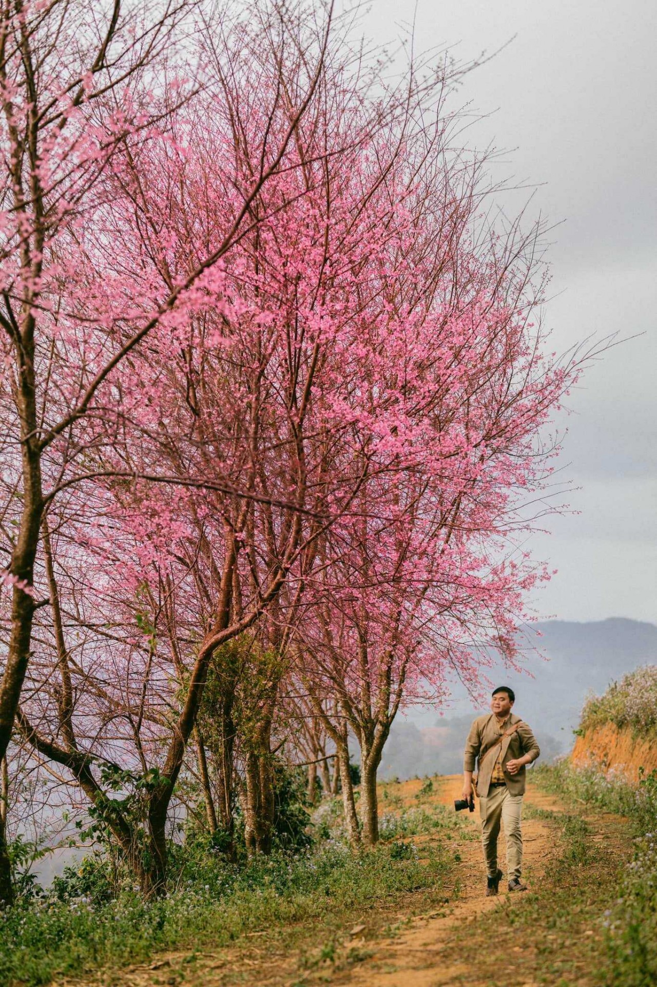 Photo: Dong Ngo 