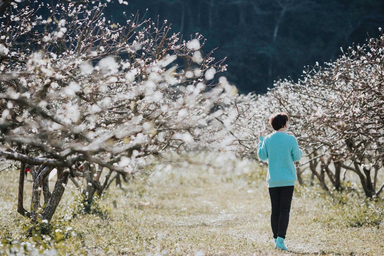 Photo: Gia Han 