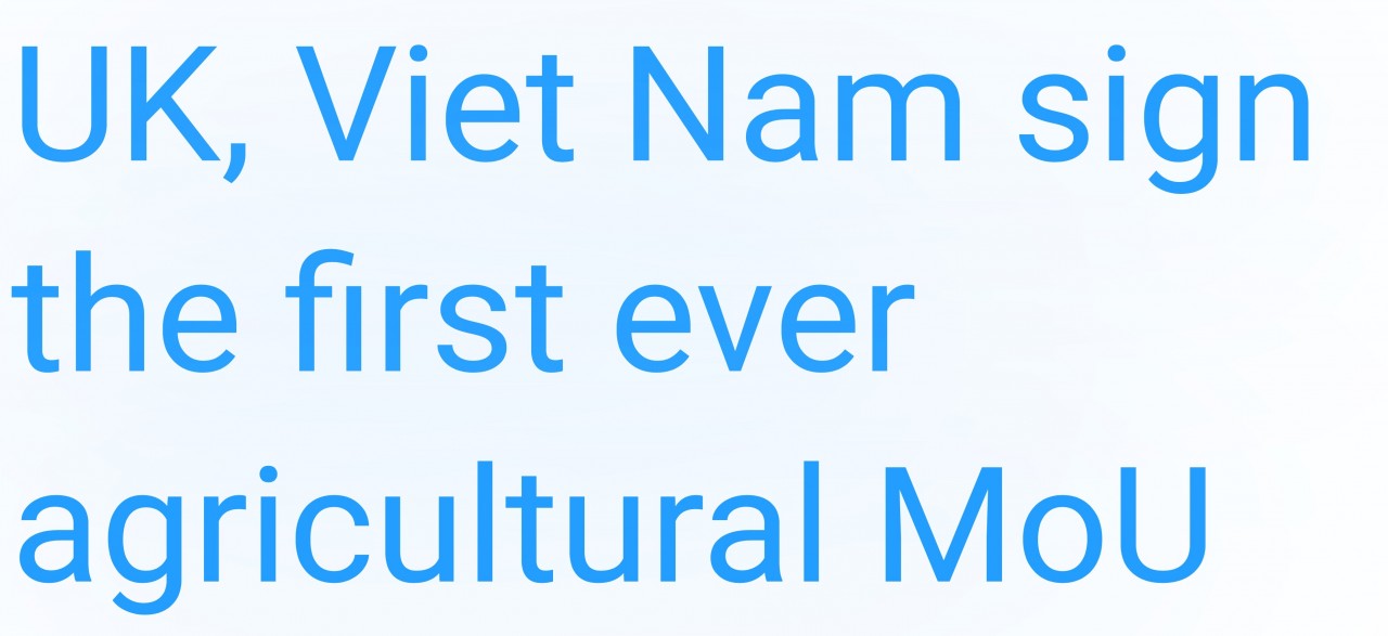 2022 - A Memorable Year for the UK - Vietnam Bilateral Relations