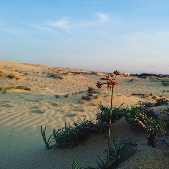 Photo: chinh272