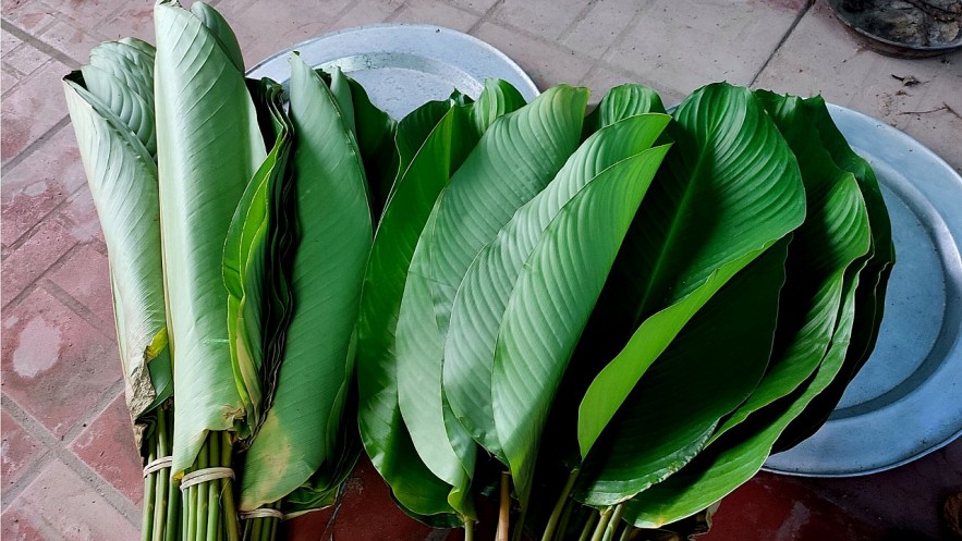 Leave to wrap the Bánh Chưng. Photo: Ollie Le Nguyen