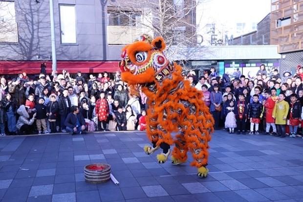 Homeland Spring Warms Hearts of Overseas Vietnamese