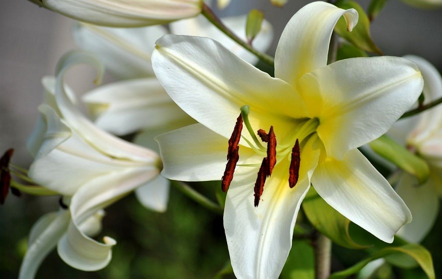 Na Hang: The Wild Beauty of the Northeast