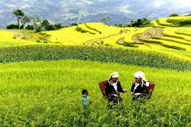 Photo: Toquoc.vn 