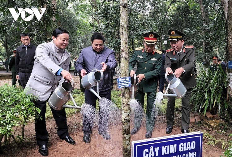 Annual Tree Planting Programme Launched for Green Vietnam