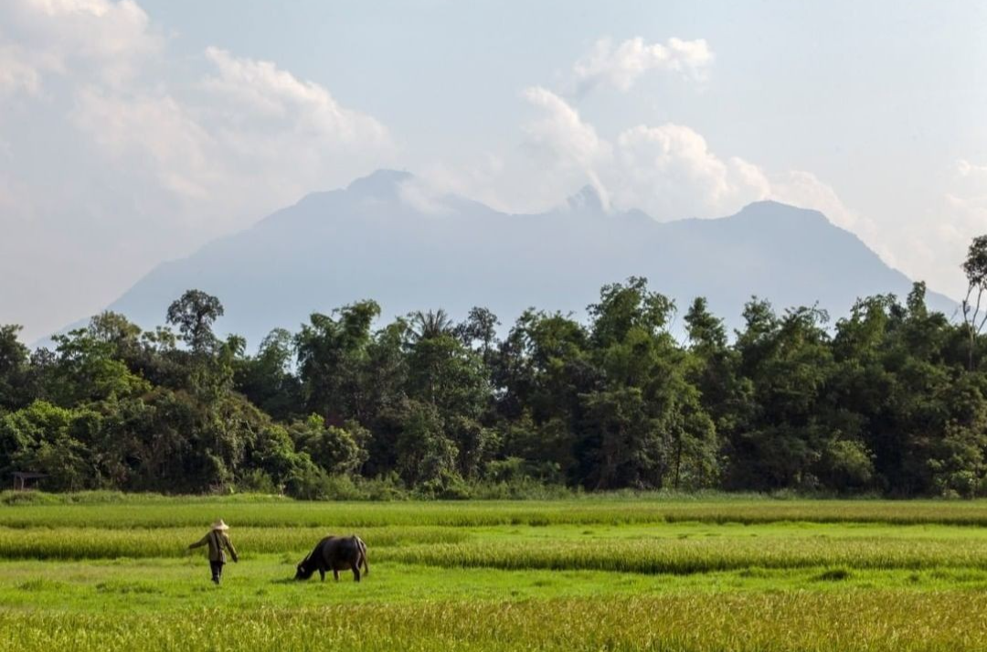 Expat Spotlight: Marcus Lacey - Capturing Hanoi's Charms By Camera
