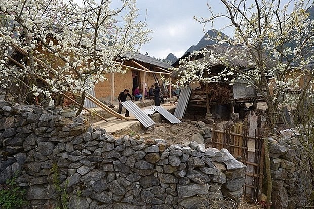 Spring in the mountainous province of Ha Giang. (Photo: VNA)