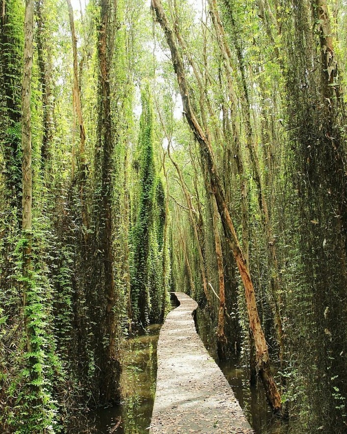 Most 'Touch Your Heart' Roads in Vietnam