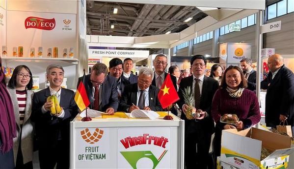Vietnamese Fruits Attract Attention at Exhibition in Berlin