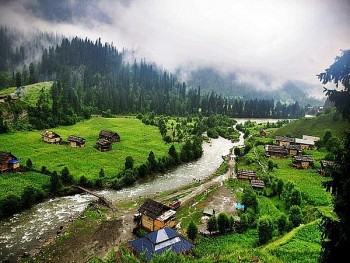 Govt launches project to promote sustainable agriculture with focus on organic farming