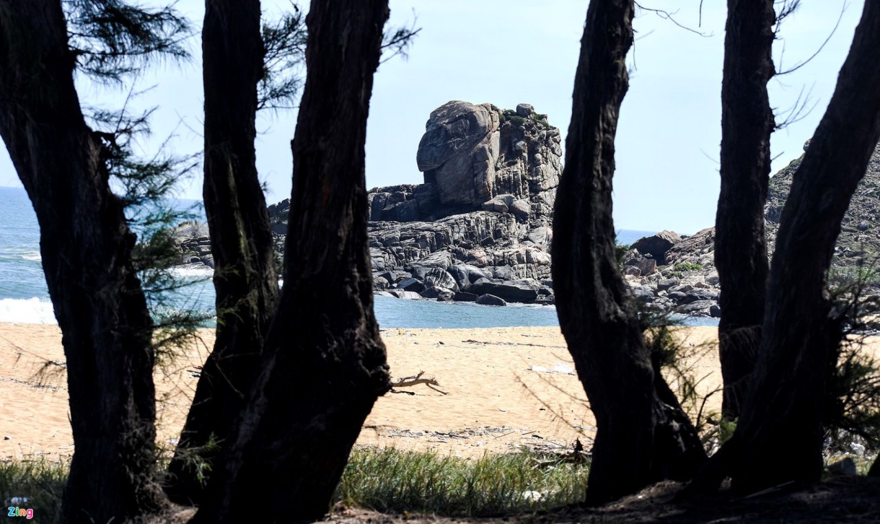 Amazing Tortoise-Shaped Cliff in Sa Huynh Sea