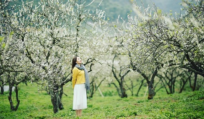 The 5 Amazing Destinations To Explore For A Spring Trip In Vietnam