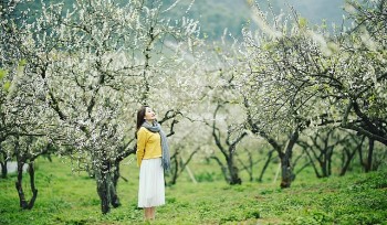 The 5 Amazing Destinations To Explore For A Spring Trip In Vietnam